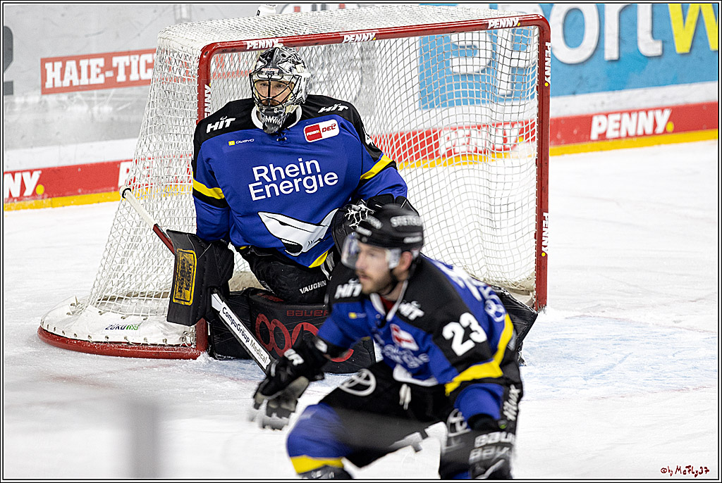 PENNY DEL;  Koelner Haie - Grizzlys Wolfsburg; Koeln, 25.11.2021